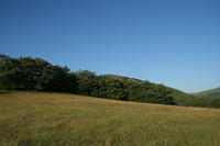 Pian delle Stelle, Monte Alago, Nocera Umbra (estate 1977); il luogo come si presenta nel 2011