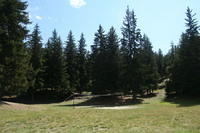 Pra Charbon (Champoluc, 1992); foto dell'estate 2011