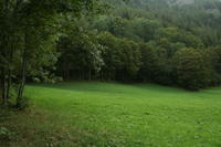 Ollomont: i prati vicino al luogo del "campo" 1978; foto dell'estate 2011