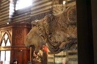 IMG 4437
