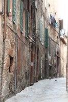 IMG 4517