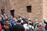 IMG 4518