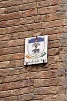 IMG 4521