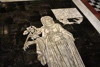 IMG 4556