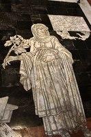 IMG 4557