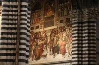 IMG 4586