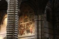 IMG 4587
