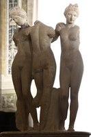 IMG 4590