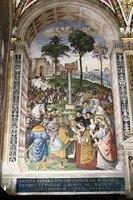 IMG 4596