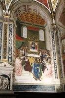 IMG 4598