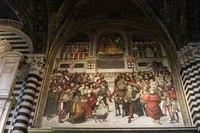 IMG 4627