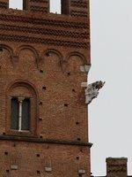 IMG 4721