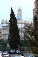 IMG 4817