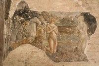 IMG 4684