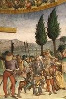 IMG 0662