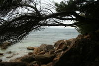 Majorca Giovanni 076