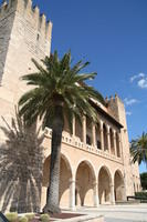 Majorca Giovanni 195
