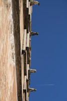 Majorca Giovanni 213