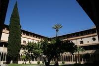 Majorca Giovanni 219