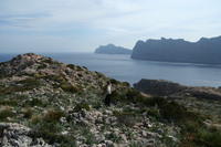 Majorca Giovanni 263