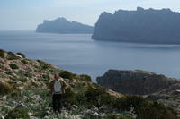 Majorca Giovanni 264