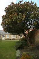 Oxford, Littlemore, la casa dove John Henry Newman si convertì al cattolicesimo