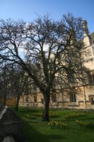 Oxford, St Magdalen College, il College nel quale C.S. Lewis era docente ed il luogo della sua conversione