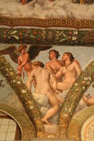 Raffaello Villa Farnesina 025