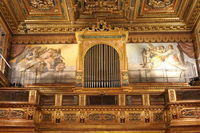 IMG_2166rid.JPG