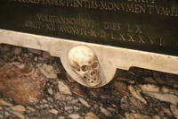 IMG 7542