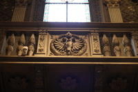 IMG 7695
