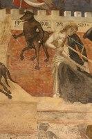 IMG 4781