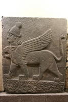 IMG 2991rid