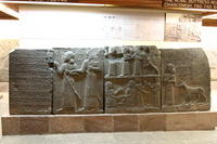 IMG 3062rid
