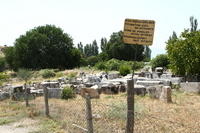 IMG 0861rid