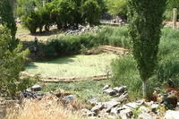 IMG 0869rid