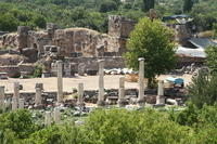 IMG 0885rid