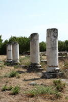 IMG 0889rid