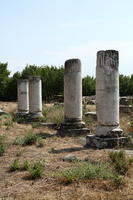 IMG 0890rid