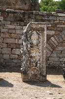 IMG 0893rid