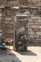 IMG 0894rid