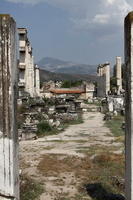 IMG 0930rid