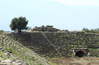 IMG 0951rid