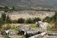 IMG 0953rid