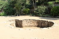 IMG 0083rid