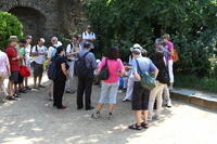 IMG 0091rid