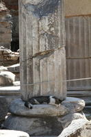IMG 0131rid