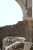 IMG 0179rid