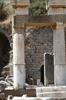 IMG 0191rid