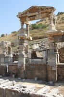 IMG 0211rid